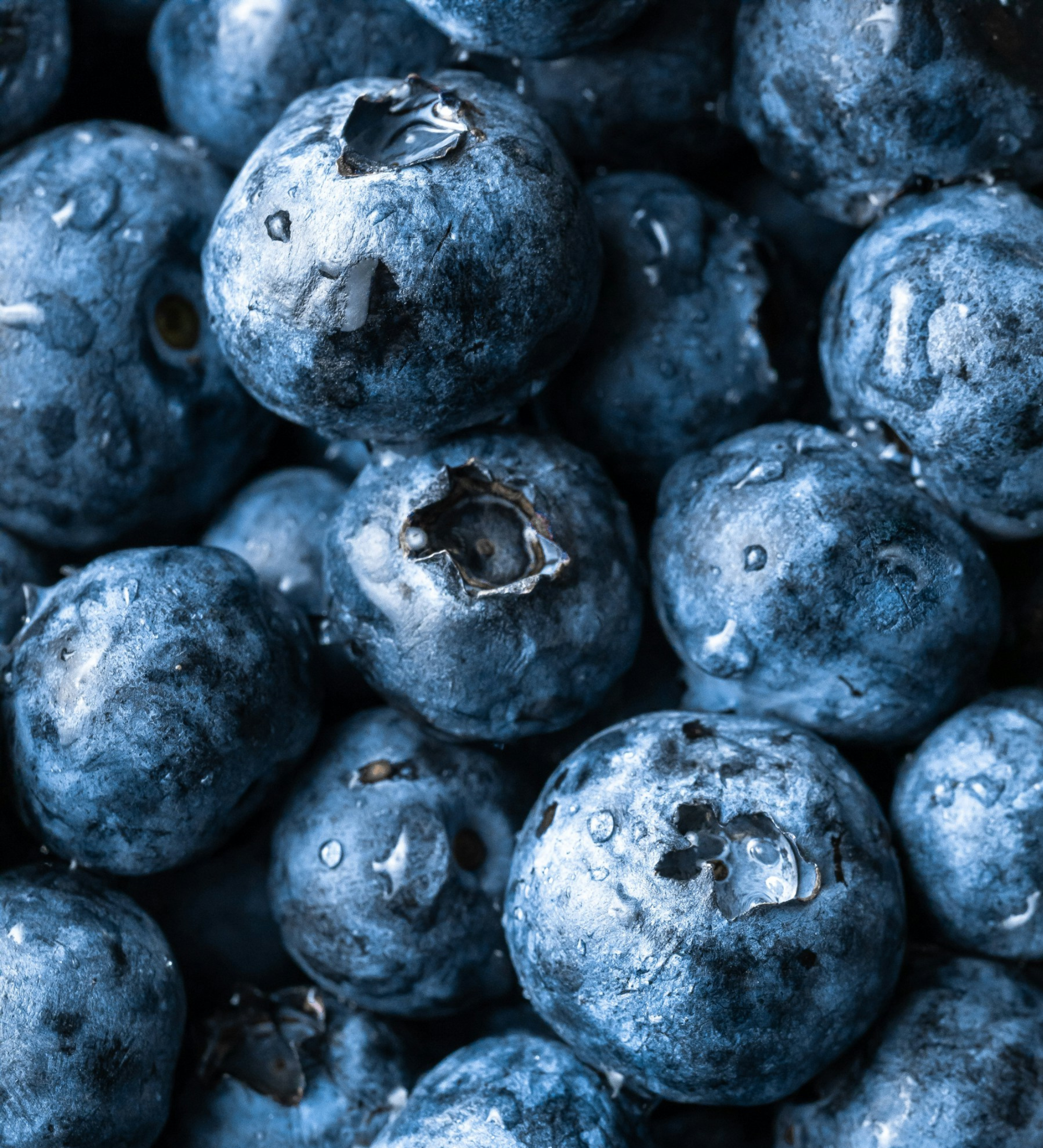 Blueberries next to text explaining how molecular hydrogen in KLAR hydrogen water selectively targets and neutralizes harmful free radicals, making it antioxidant-rich.